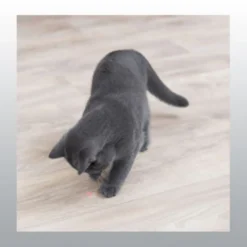 Pointeur laser moving light pour chat