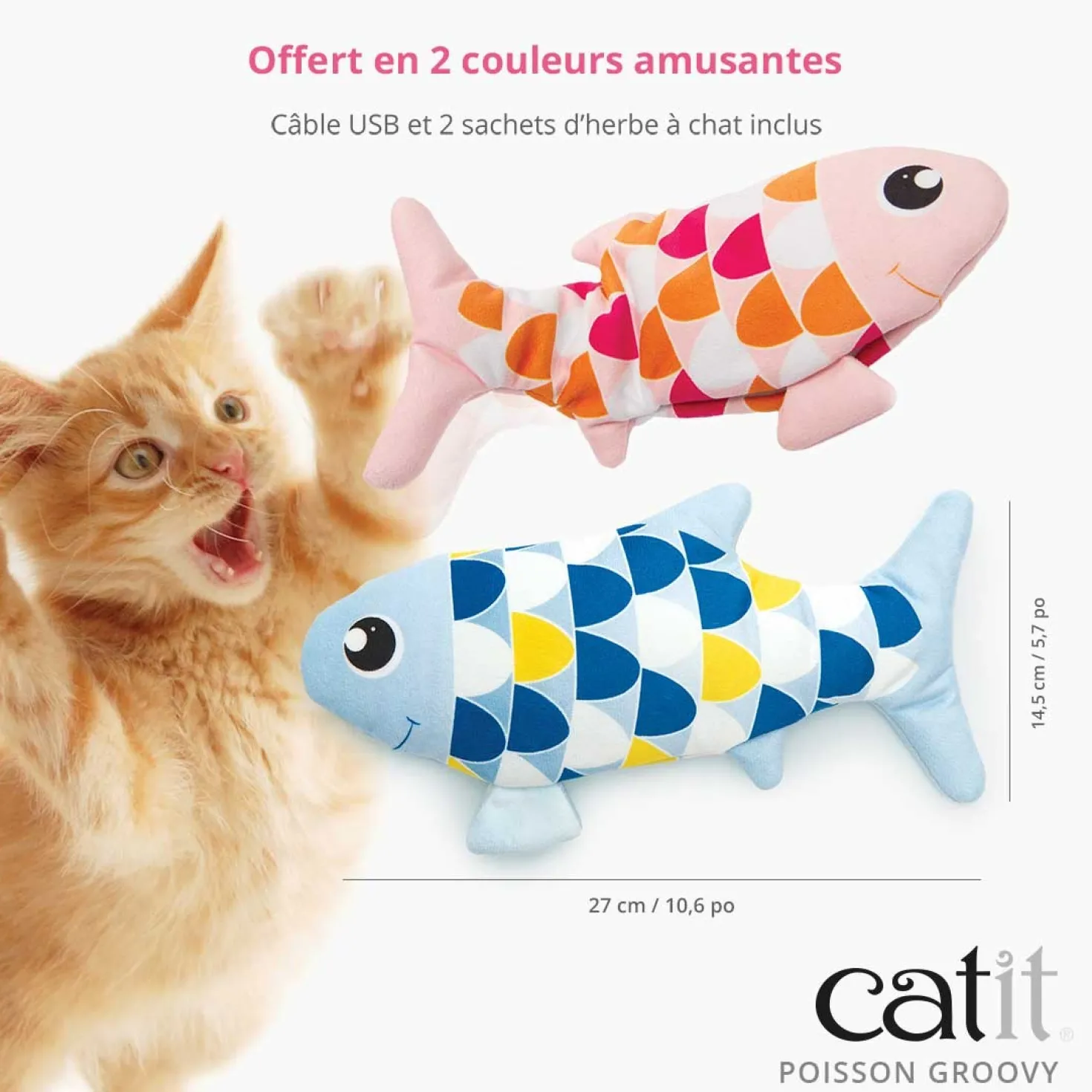 Poisson électronique Groovy chat