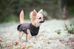 Pomppa Jumppa Chocolat manteau polaire chien