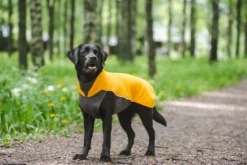 Pomppa Jumppa Curry manteau polaire chien