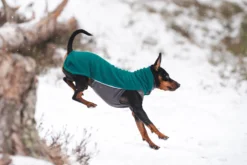 Pomppa Jumppa Forest manteau polaire chien