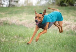 Pomppa Jumppa Forest manteau polaire chien
