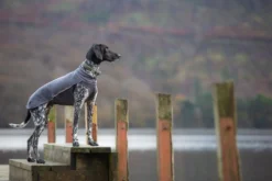 Pomppa Jumppa Graphite - manteau polaire chien
