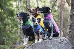 Pomppa Jumppa Juniper manteau polaire chien