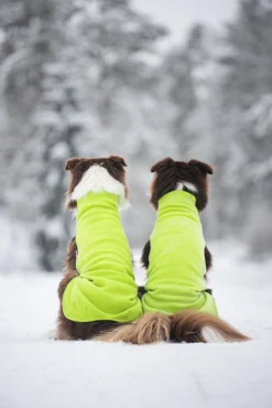 Pomppa Jumppa manteau polaire Lime chien