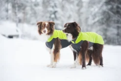 Pomppa Jumppa manteau polaire Lime chien