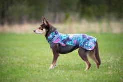 Pomppa Jumppa manteau polaire pour chien Aurora