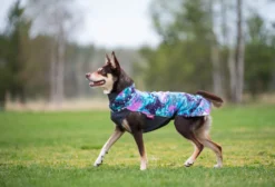 Pomppa Jumppa manteau polaire pour chien Aurora
