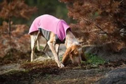 Pomppa Jumppa manteau polaire pour chien Calluna