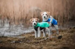 Pomppa Jumppa manteau polaire pour chien Mint