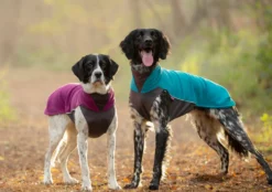 Pomppa Jumppa manteau polaire pour chien Petrol