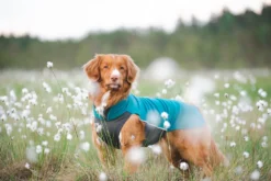 Pomppa Jumppa manteau polaire pour chien Petrol