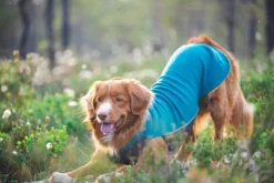 Pomppa Jumppa manteau polaire pour chien Petrol
