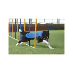 Pomppa Jumppa manteau polaire pour chien Sky