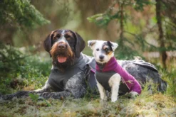 Pomppa Jumppa Plum manteau polaire pour chien