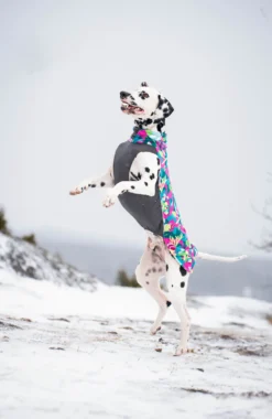 Pomppa Jumppa Trail manteau polaire chien