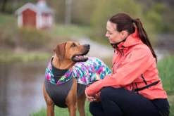 Pomppa Jumppa Trail manteau polaire chien