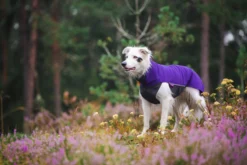 Pomppa Jumppa Violet manteau polaire chien