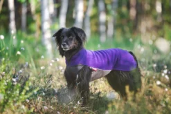 Pomppa Jumppa Violet manteau polaire chien