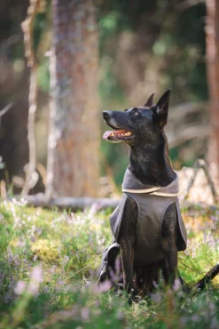 Pomppa Kevyt Graphite manteau imperméable chien