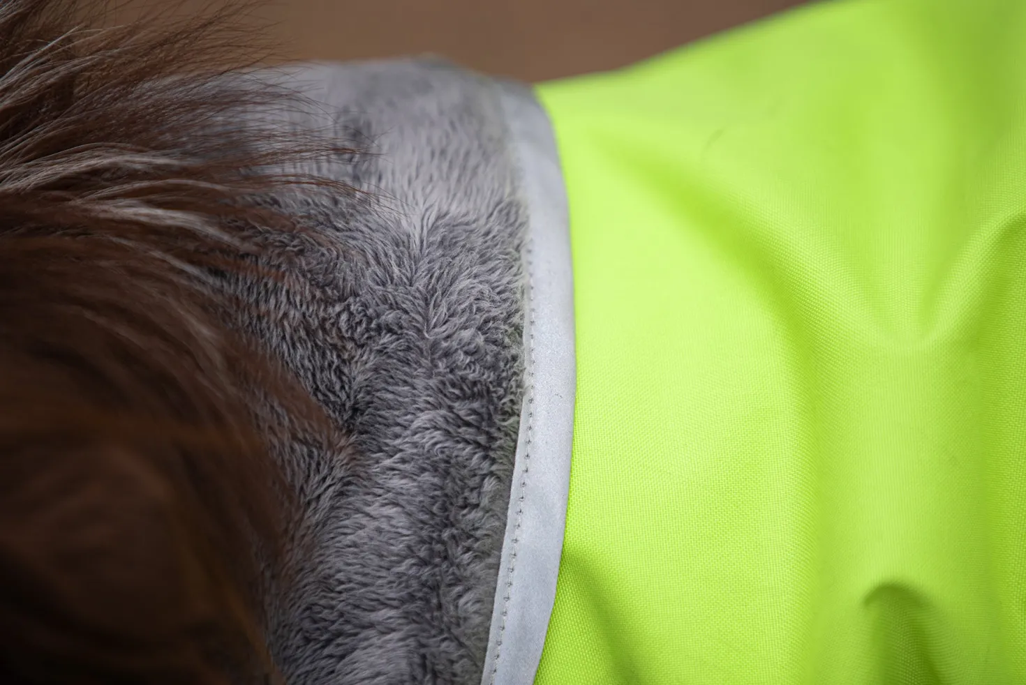 Pomppa Kevyt Lime manteau imperméable chien