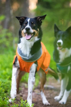 Pomppa Kevyt manteau imperméable pour chien Orange