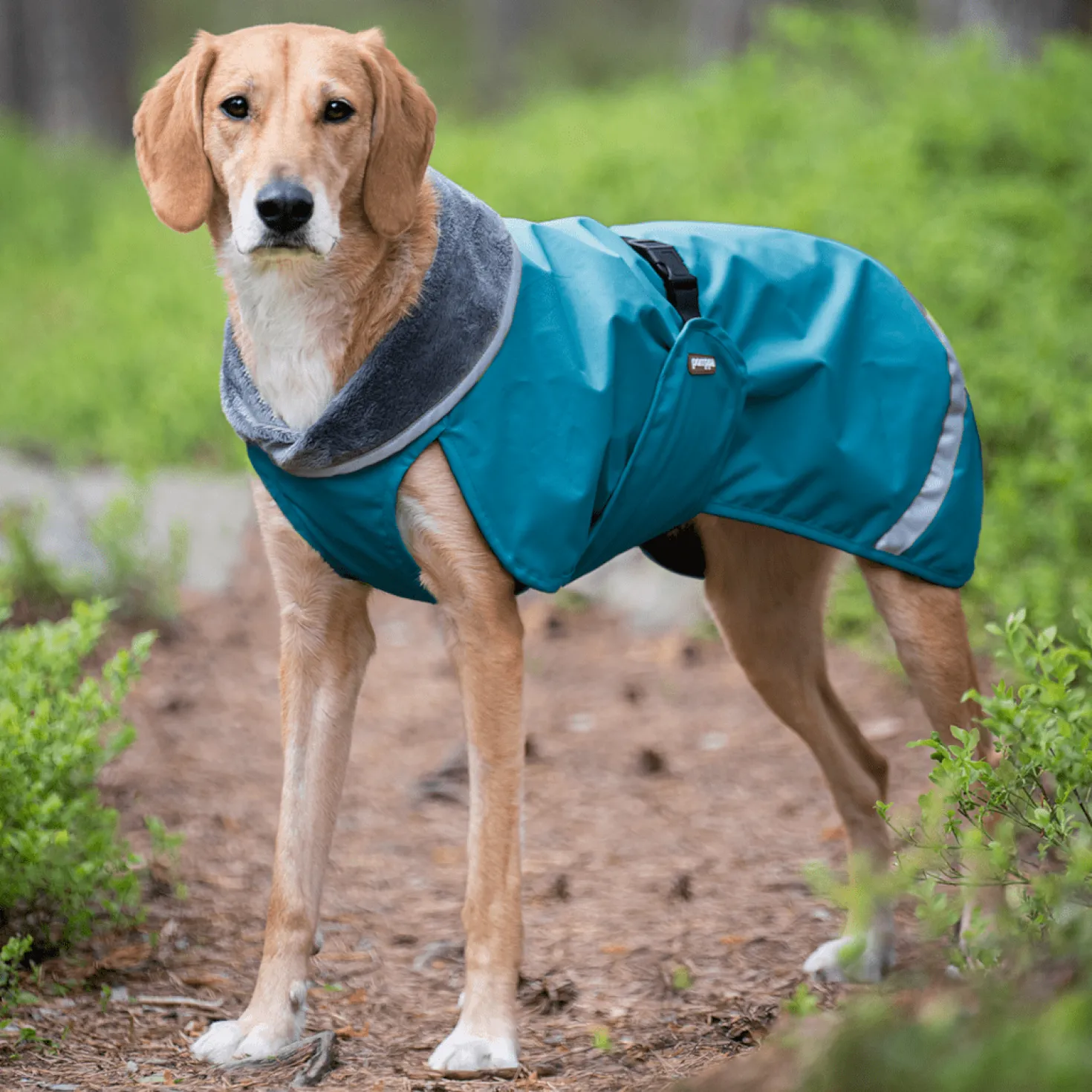 Pomppa Kevyt manteau imperméable pour chien Petrol