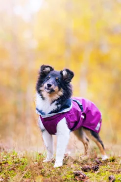 Pomppa Kevyt Plum manteau imperméable chien