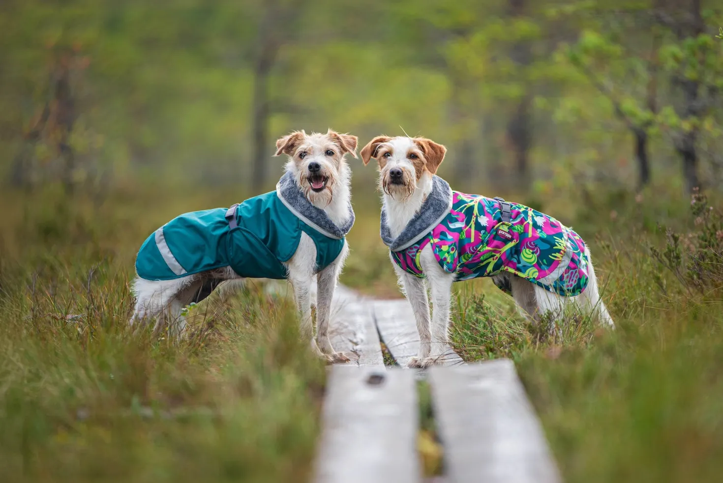 Pomppa Kevyt Trail manteau imperméable chien