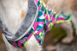 Pomppa Kevyt Trail manteau imperméable chien