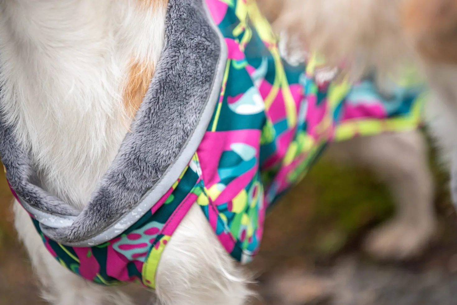 Pomppa Kevyt Trail manteau imperméable chien