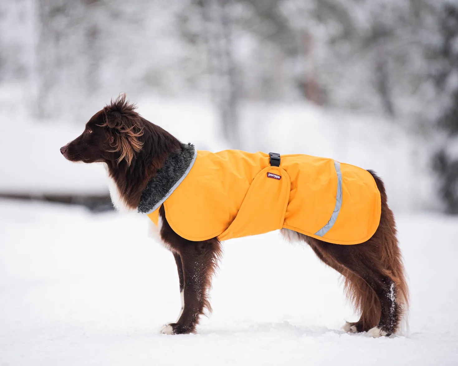Pomppa Perus manteau imperméable pour chien Curry