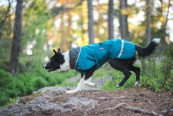 Pomppa Perus manteau imperméable pour chien Petrol