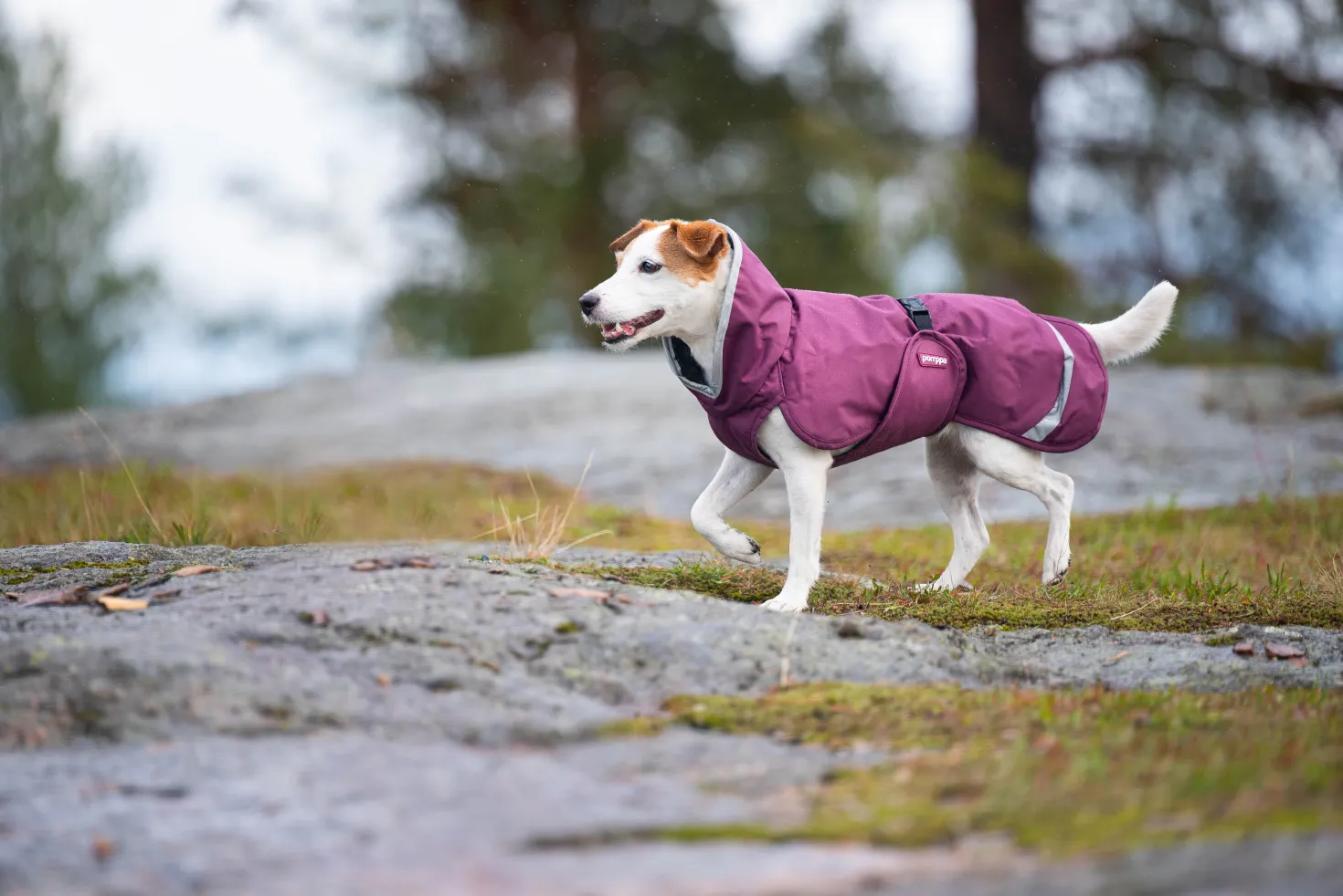 Pomppa Perus manteau imperméable pour chien Plum