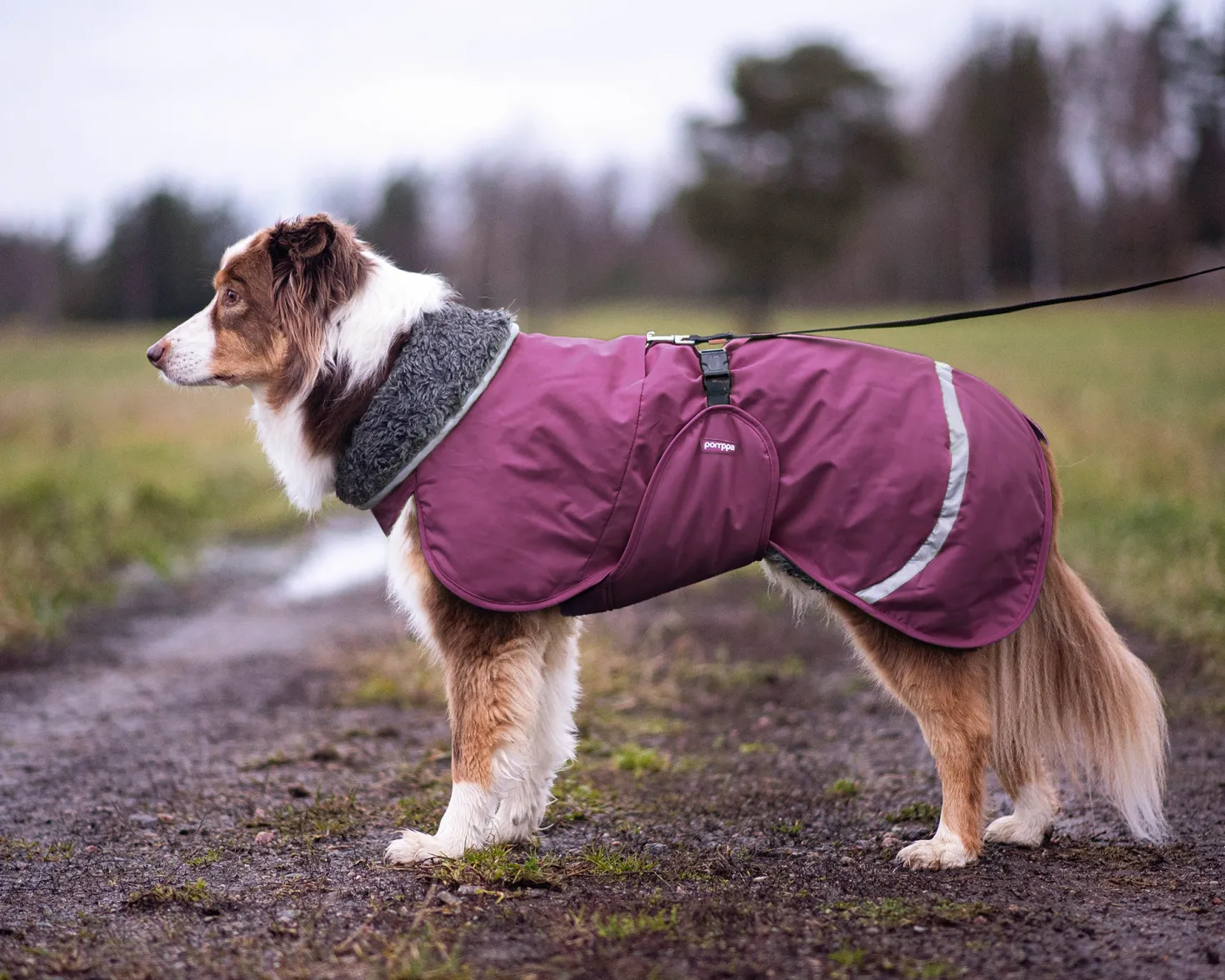 Pomppa Perus manteau imperméable pour chien Plum