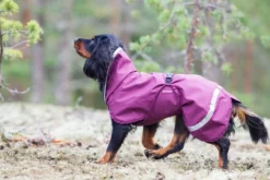 Pomppa Sade manteau imperméable pour chien Calluna