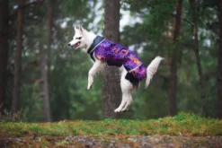 Pomppa Sade manteau imperméable pour chien Cosmos
