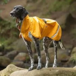 Pomppa Sade manteau imperméable pour chien Curry