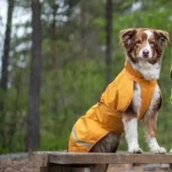Pomppa Sade manteau imperméable pour chien Curry