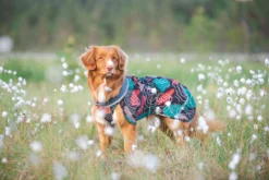 Pomppa Sade manteau imperméable pour chien Kartta