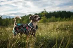 Pomppa Sade manteau imperméable pour chien Kartta