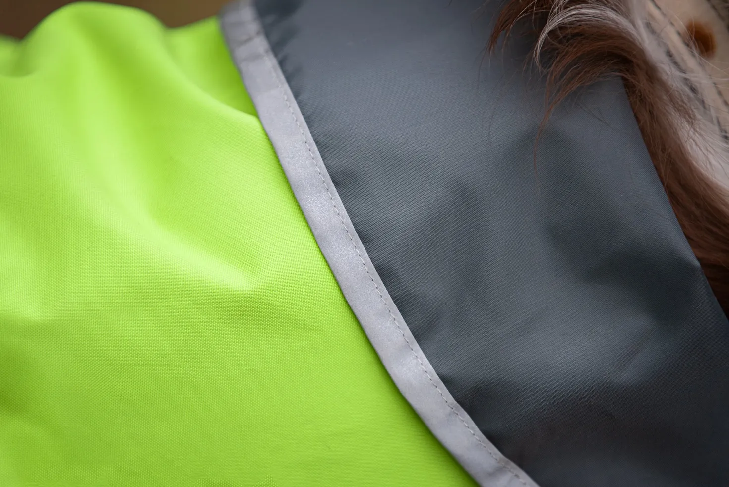 Pomppa Sade manteau imperméable pour chien Lime