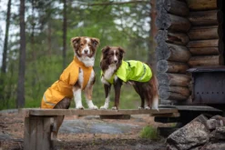 Pomppa Sade manteau imperméable pour chien Lime