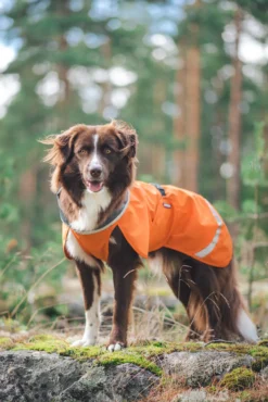 Pomppa Sade manteau imperméable pour chien Orange