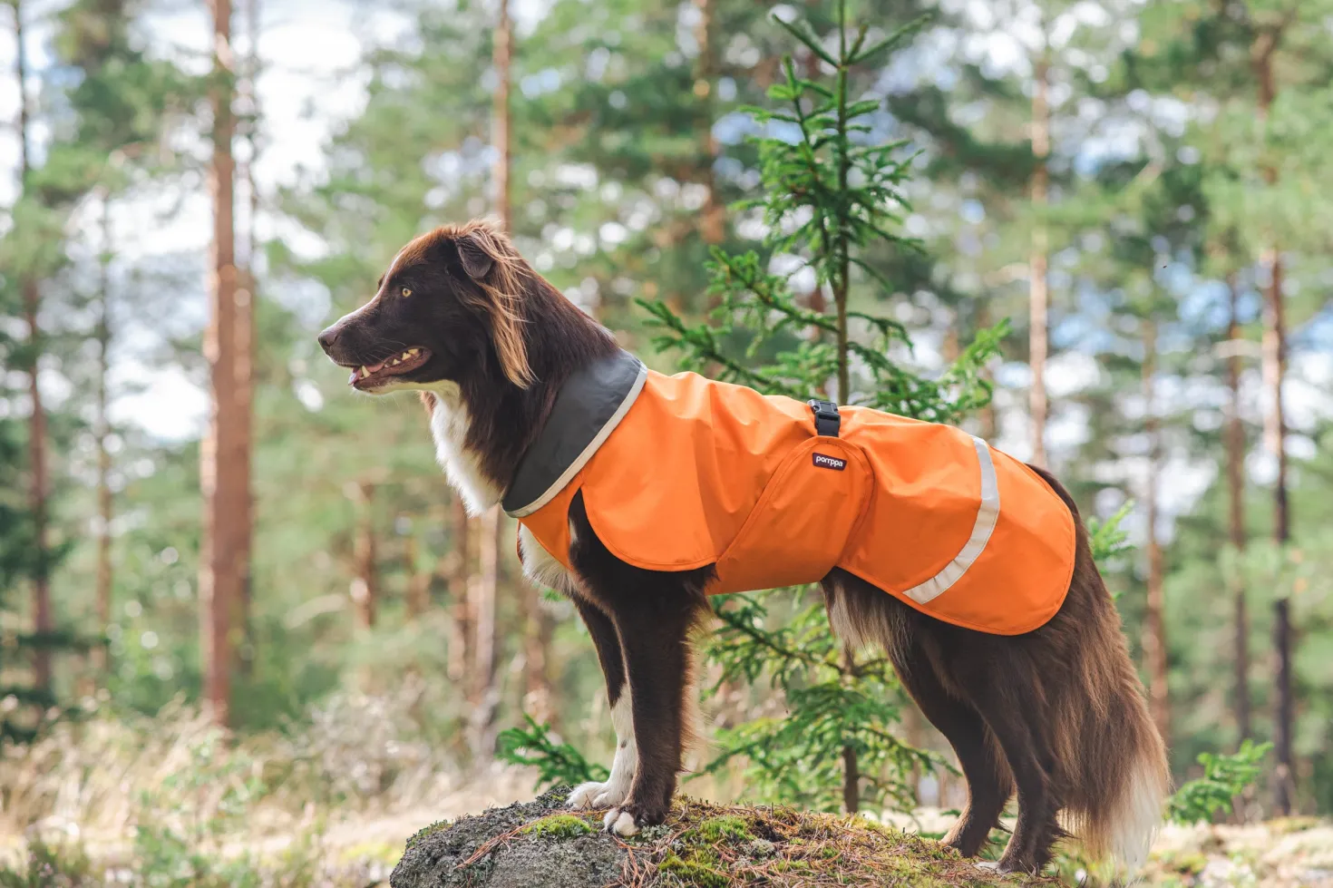 Pomppa Sade manteau imperméable pour chien Orange