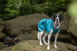 Pomppa Sade manteau imperméable pour chien Petrol
