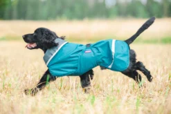 Pomppa Sade manteau imperméable pour chien Petrol