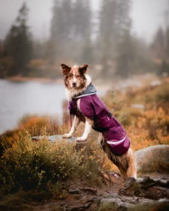 Pomppa Sade Plum manteau imperméable chien