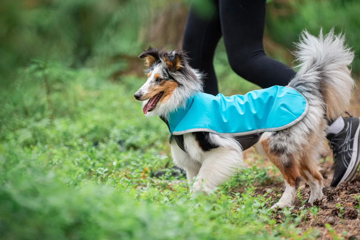 Pomppa Sportti Artic manteau imperméable et chaud chien