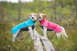 Pomppa Sportti Artic manteau imperméable et chaud chien